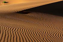 sand dune ripples