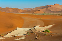 dry pan between sand dunes