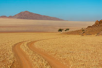 track naer shephered trees on the edge of granite outcrop | mountain