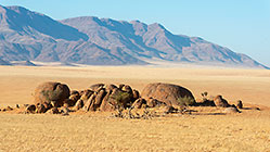 shephered tree near granite boulders | mountains