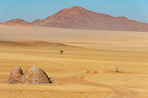 track near granite boulders in grassy plain