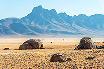 shephered tree near granite boulders | mountains