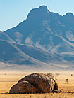 shephered tree near granite boulders | mountains