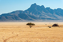 shephered tree near granite boulders | mountains