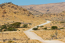 hilly farmland around the gravel road
