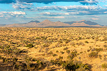 plain & mountains at sunset