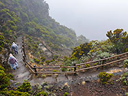 hikers walking down the path