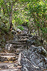 steps on trail