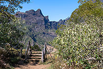 gate to pasture