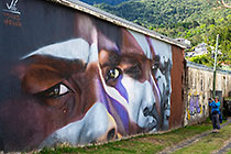 wall murals