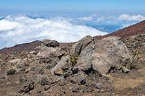rocky slope on Piton des Neiges