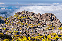 spare vegetation on rocky slopes