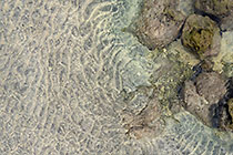 flying over coral reef