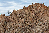 harp shist rocks & tree on hill