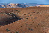 arid hills