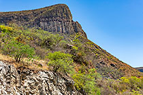 green trees on cliffs
