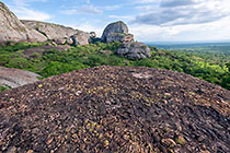 huge granite boulders between green vegetation