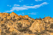 granite boulders & cactus-like euphorbia plants on hill at sunset