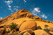 trees & granite boulders