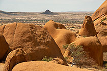 trees & granite boulders