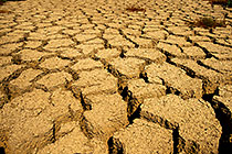 cracked dried mud