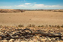 cracked dried mud in dam