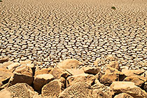 cracked dried mud in dam