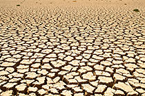 cracked dried mud in dam
