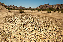 cracked dried mud in riverbed