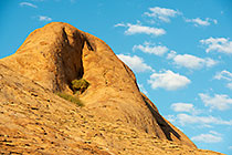 tree growing in crack within granite monolith mountain