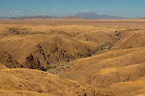 golden dry grass on hills