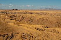 golden dry grass on hills