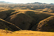 golden dry grass on hills