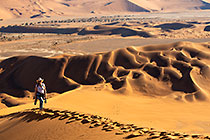 Lisa climbing sand dunes at sunrise