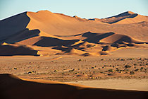 sand dunes at sunrise