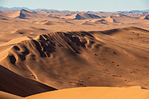 sand dunes at sunrise