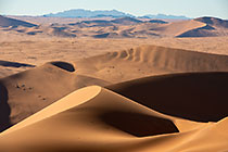 sand dunes at sunrise