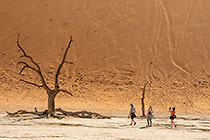 Lisa, Don & Sandy walking amongst dead trees & sand dune