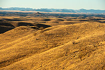 hills covered with dry grass