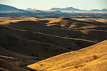 hills covered with dry grass