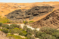green belt of trees in canyon & sand dunes