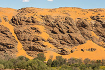 green belt of trees in canyon & sand dunes