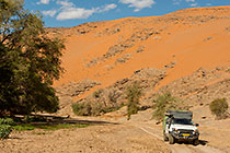 ranger camper & green trees along riverbed & sand dunes