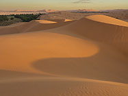 sand dunes at sunset 