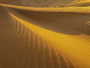 sand dunes at sunset 