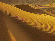 sand dunes at sunset 
