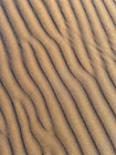 sand dunes at sunset 