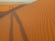 shadows on sand dunes at sunset 