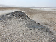 tortuous bush in salt pan under mist
