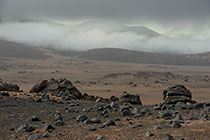 rocks & bushes in arid plain under mist at sunrise